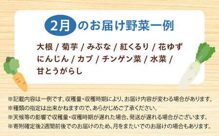 高槻野菜詰め合わせ 2月（10〜15種）＆農家さん自家製ゆず果汁[AOCS004] 野菜