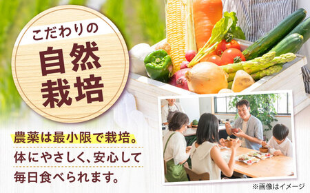 高槻野菜詰め合わせ 3月（10〜15種）＆農家さん自家製ゆず果汁[AOCS005] 野菜