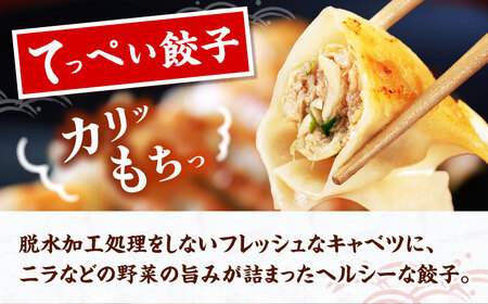 てっぺい餃子 100個【25個×4】無人屋[AOCX006] 餃子