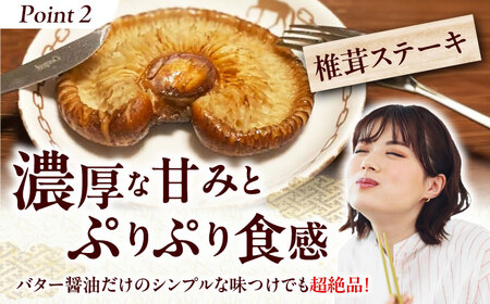 原木生しいたけ 約1kg (～10個)＜2月末まで受付＞[AOCS001] しいたけ