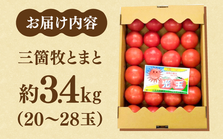 三箇牧とまと 約3.4kg[AOAI015] とまと