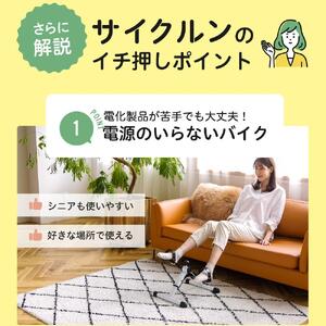 アルインコ サイクルン/AFB2023W[AOAB088] ダイエット