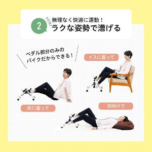 アルインコ サイクルン/AFB2023W[AOAB088] ダイエット