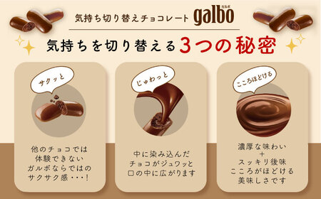 【年内発送】ガルボチョコ パウチ 48袋[AOAA028] チョコレート