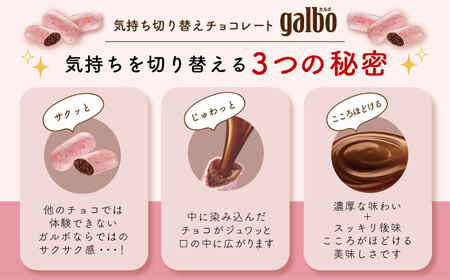 【年内発送】ガルボつぶ練り苺パウチ 48袋[AOAA029] チョコレート お菓子