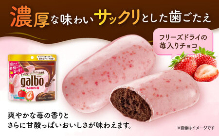 CHOCO　 香甜ないちご　LABUBU　ふわふわ 古都華＆淡雪＆パールホワイト・真珠姫 2P入り - 奈良いちご