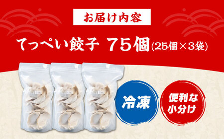 てっぺい餃子75個[AOCX010] 餃子