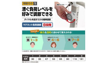 エアロマグネティックバイク5219/AFB5219[AOAB126] トレーニング