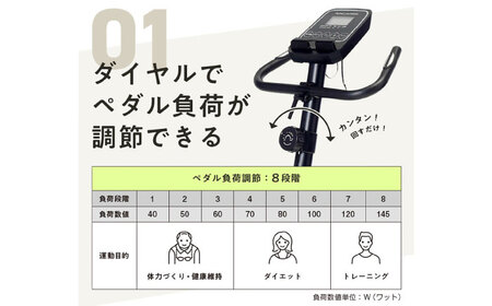エアロマグネティックバイク5223/AFB5223[AOAB127] トレーニング 