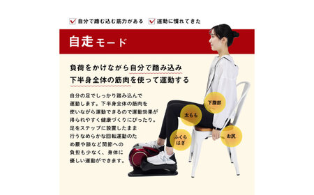 電動ラクこぎサイクル/FA3023R[AOAB141] トレーニング 