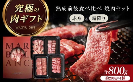 焼肉 セット 霜降り 赤身 800g[AOAS013] 焼肉セット