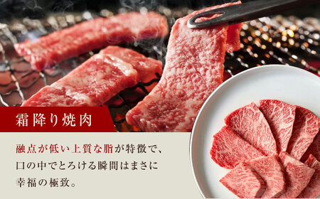 焼肉 セット 霜降り 赤身 800g[AOAS013] 焼肉セット