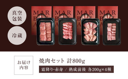焼肉 セット 霜降り 赤身 800g[AOAS013] 焼肉セット