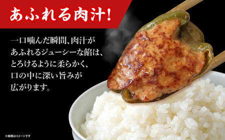 そのまんま昼ご飯詰め合わせ[AOCX024]  惣菜セット