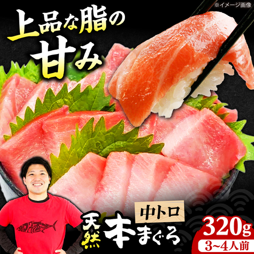 たね熟天然本まぐろ中トロ(320g)[AOCE009]まぐろ