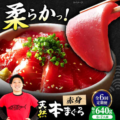【全6回定期便】たね熟天然本まぐろ赤身(640g)[AOCE017]マグロ 9,125円
