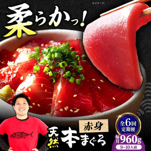 【全6回定期便】たね熟天然本まぐろ赤身(960g)[AOCE020]マグロ 9,250円