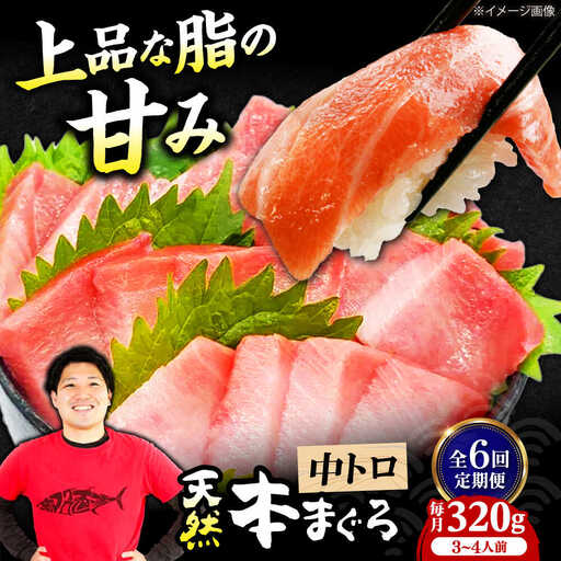 【全6回定期便】たね熟天然本まぐろ中トロ(320g)[AOCE032]マグロ