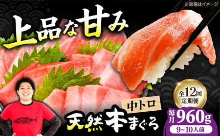 【全12回定期便】たね熟天然本まぐろ中トロ(960g)[AOCE039]マグロ