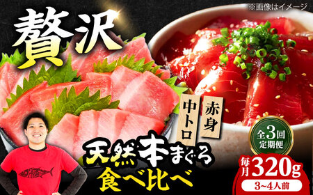 【全3回定期便】たね熟天然本まぐろ赤身＆中トロセット(320g 各160g)[AOCE040]マグロ