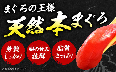 【全3回定期便】たね熟天然本まぐろ赤身＆中トロセット(320g 各160g)[AOCE040]マグロ