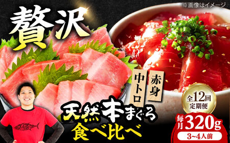 【全12回定期便】たね熟天然本まぐろ赤身＆中トロセット(320g 各160g)[AOCE042]マグロ