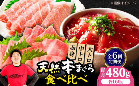 【全6回定期便】たね熟天然本まぐろ赤身＆中トロ＆大トロセット(各160g 計480g)[AOCE044]マグロ