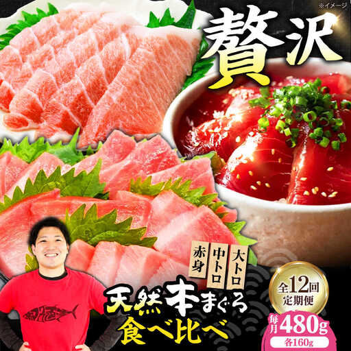 【全12回定期便】たね熟天然本まぐろ赤身＆中トロ＆大トロセット(各160g 計480g)[AOCE045]マグロ