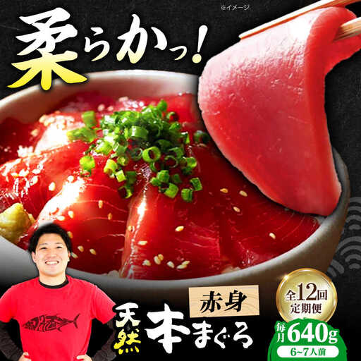 【全12回定期便】たね熟天然本まぐろ赤身(640g) [AOCE018] まぐろ