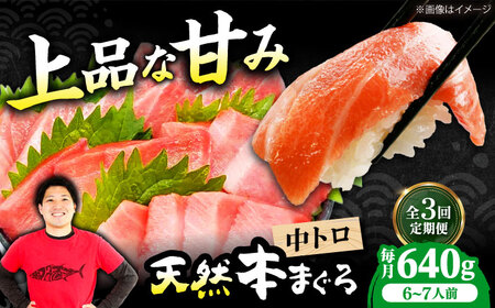 【全3回定期便】たね熟天然本まぐろ中トロ(640g)[AOCE034] まぐろ