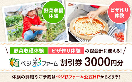 ベジ彩ファーム 割引チケット 3,000円分 大阪府高槻市/ベジ彩ファーム[AOEJ001] チケット チケット チケット チケット チケット
