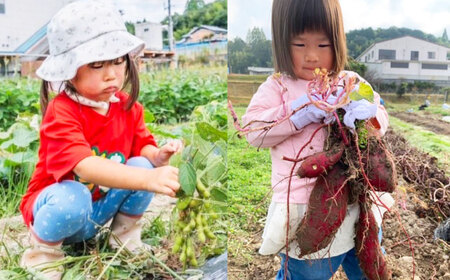 ベジ彩ファーム 割引チケット 3,000円分 大阪府高槻市/ベジ彩ファーム[AOEJ001] チケット チケット チケット チケット チケット