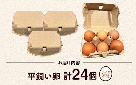 平飼い卵 24個 ベジ彩ファーム[AOEJ003] たまご