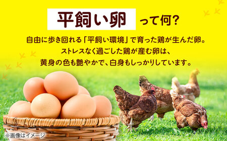 平飼い卵 24個 ベジ彩ファーム[AOEJ003] たまご