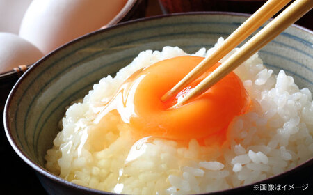 平飼い卵 24個 ベジ彩ファーム[AOEJ003] たまご