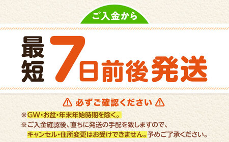 旬のお野菜＆平飼い卵セット ベジ彩ファーム[AOEJ004] 野菜セット