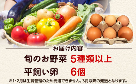 旬のお野菜＆平飼い卵セット ベジ彩ファーム[AOEJ004] 野菜セット