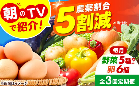 【全3回定期便】 米ぬかで育てた！旬のお野菜＆平飼い卵セット ベジ彩ファーム[AOEJ005] 野菜