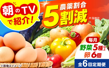 【全6回定期便】 米ぬかで育てた！旬のお野菜＆平飼い卵セット ベジ彩ファーム[AOEJ006] 野菜