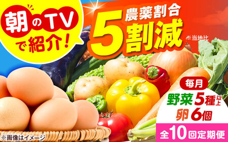 【全10回定期便】 米ぬかで育てた！旬のお野菜＆平飼い卵セット ベジ彩ファーム[AOEJ007] 野菜定期便