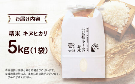 【年内発送】キヌヒカリ 5キロ ベジ彩ファーム[AOEJ009]新米