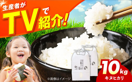 お米 令和7年産 キヌヒカリ 10キロ [AOEJ010] お米