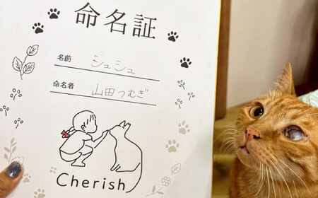 命名権（保護猫への名付け）特定非営利活動Cherish[AODU001] 保護猫 保護猫命名権 保護ネコカフェ