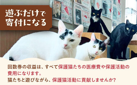 Cherish猫カフェ 回数券（10回分）特定非営利活動Cherish[AODU002] 保護猫 保護猫応援 保護猫カフェ