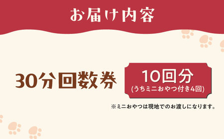 Cherish猫カフェ 回数券（10回分）特定非営利活動Cherish[AODU002] 保護猫 保護猫応援 保護猫カフェ