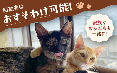 Cherish猫カフェ 回数券（15回分）特定非営利活動Cherish[AODU003] 保護猫 保護猫応援 保護猫カフェ