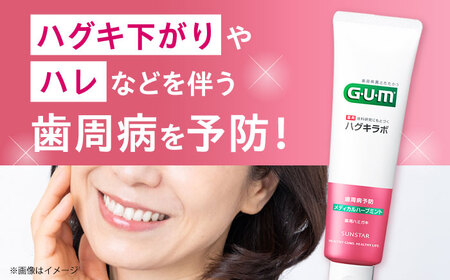 GUMハグキラボ デンタルペースト 85g（メディカルハーブミント）20本 [AOAD048] 歯磨き