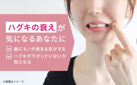 GUMハグキラボ デンタルペースト 85g（ナチュラルハーブミント）20本[AOAD049] はみがき