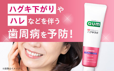 GUMハグキラボ デンタルペースト 85g（ナチュラルハーブミント）20本[AOAD049] はみがき