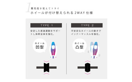 【訳あり】2WAY腹筋ローラー/AMV100[AOAB147]